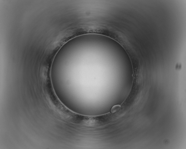 X0000112960695200908271117