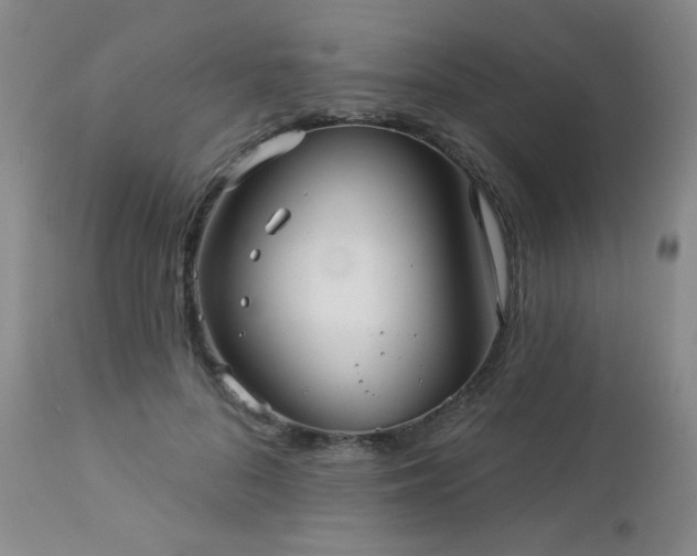 X0000112960696200908271117