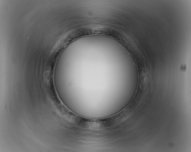 X0000112960698200908271117