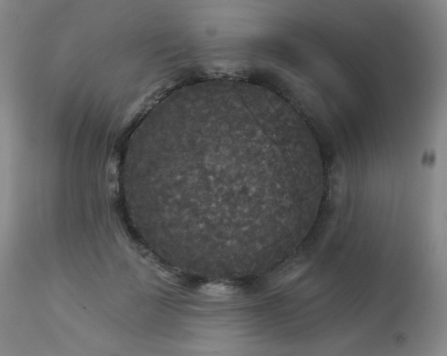 X0000112960699200908271117