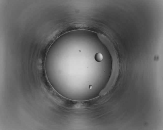 X0000112960700200908271117