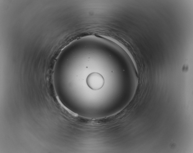 X0000112960701200908271117