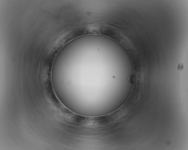 X0000112960702200908271117