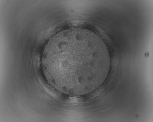 X0000112960703200908271117