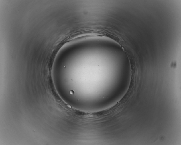 X0000112960704200908271117