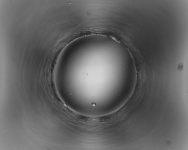 X0000112960705200908271117