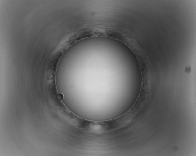 X0000112960706200908271117