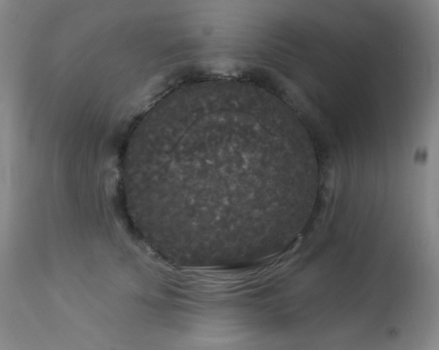 X0000112960707200908271117