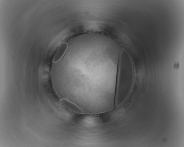 X0000112960708200908271117