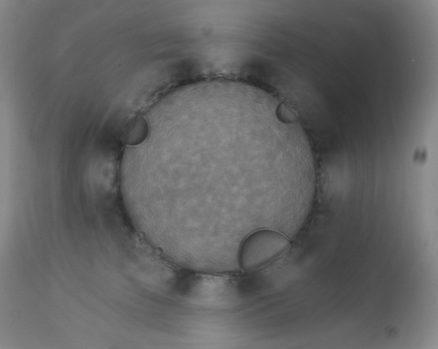 X0000112960709200908271117