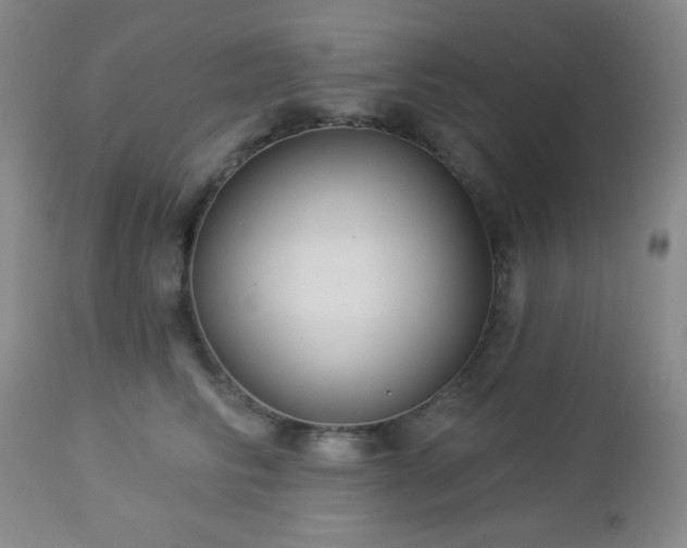 X0000112960710200908271117