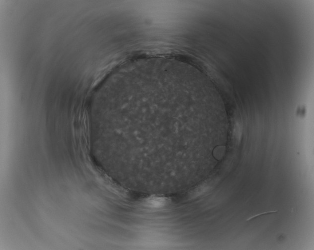 X0000112960711200908271116