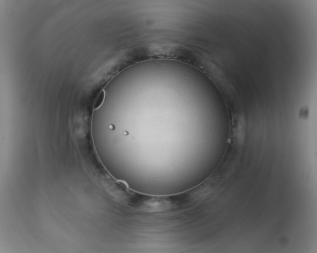 X0000112960712200908271116