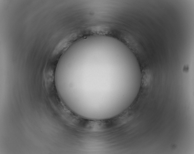 X0000112960713200908271116