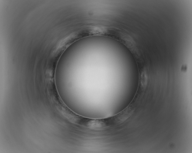 X0000112960714200908271116