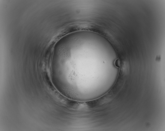 X0000112960715200908271116