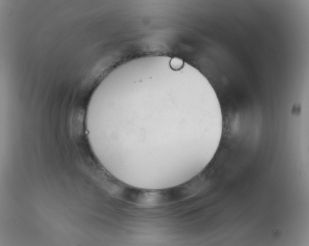 X0000112960717200908271116