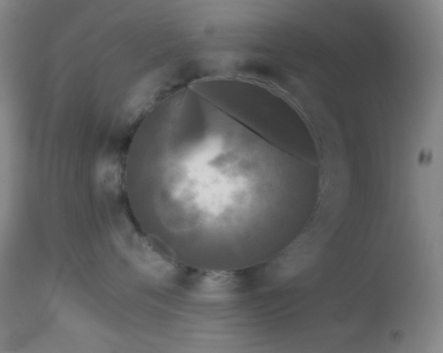 X0000112960720200908271116