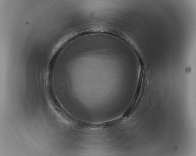 X0000112960722200908271116