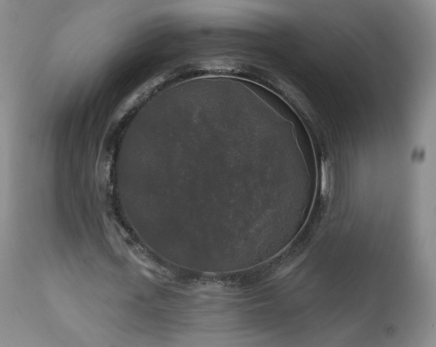 X0000112960723200908271116