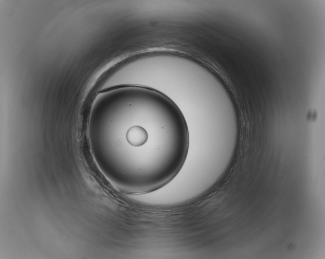 X0000112960724200908271116