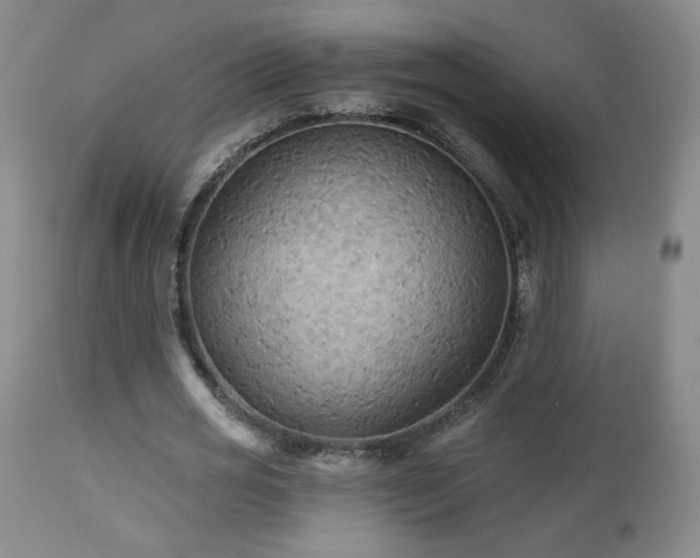 X0000112960725200908271116