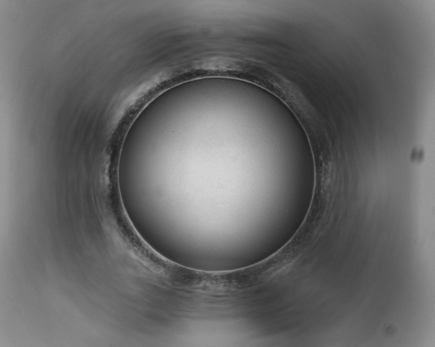 X0000112960727200908271116