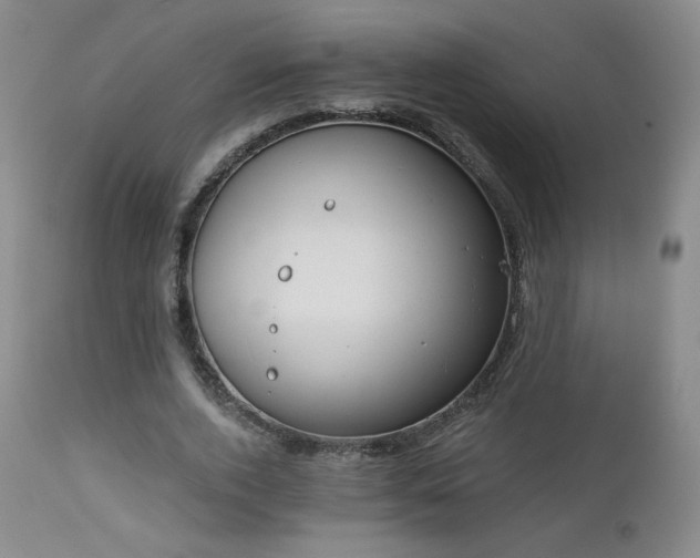 X0000112960728200908271116