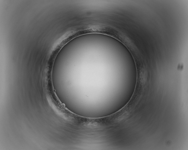 X0000112960730200908271116