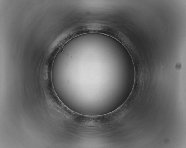 X0000112960731200908271116