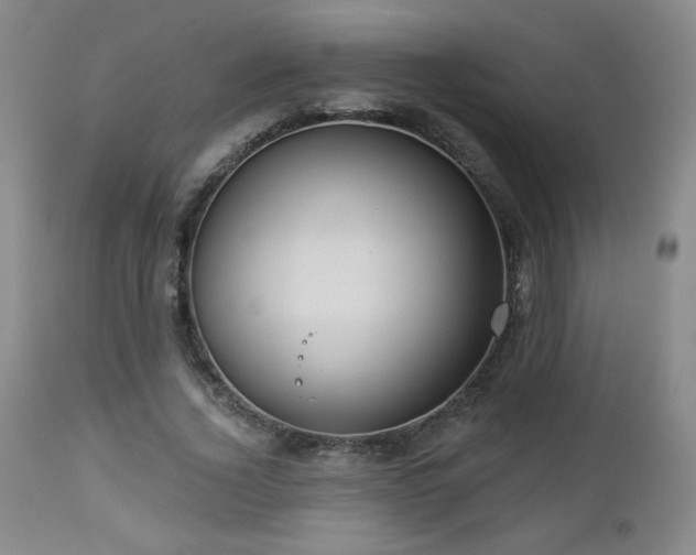 X0000112960732200908271116