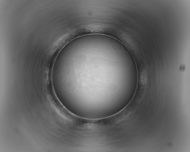 X0000112960733200908271116