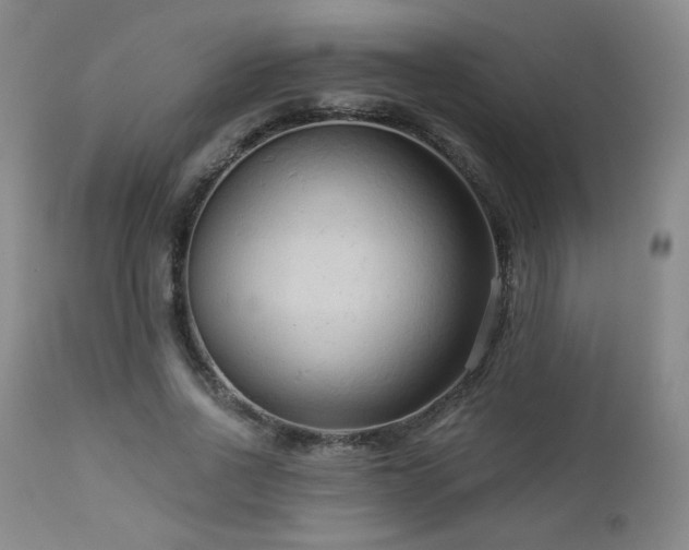 X0000112960734200908271116