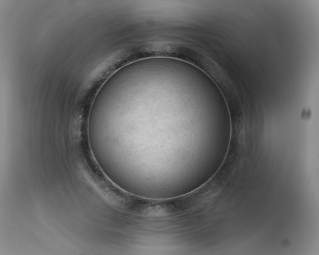 X0000112960735200908271116