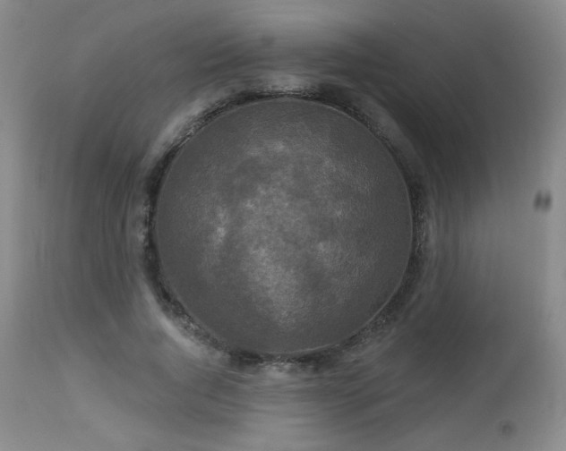 X0000112960736200908271116