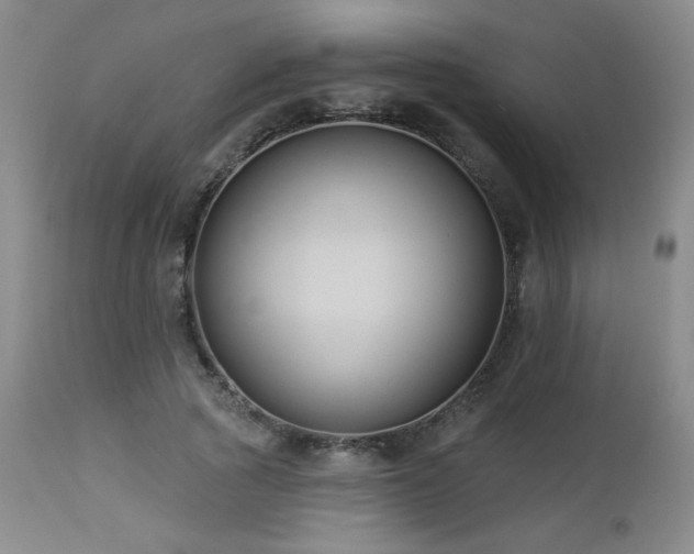 X0000112960737200908271116