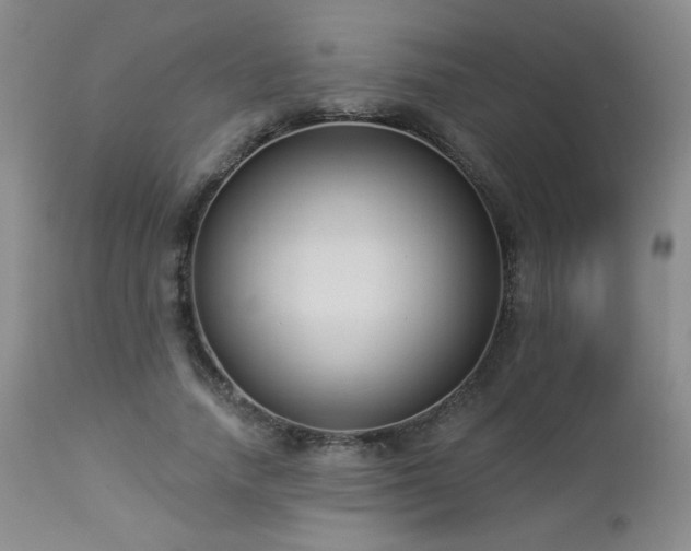 X0000112960738200908271116