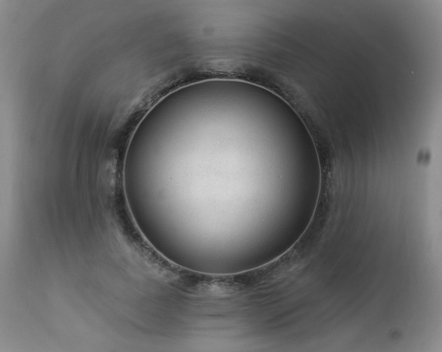 X0000112960739200908271116