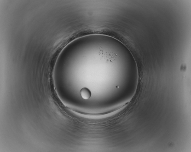 X0000112960740200908271116