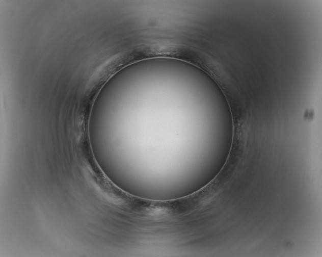 X0000112960741200908271116