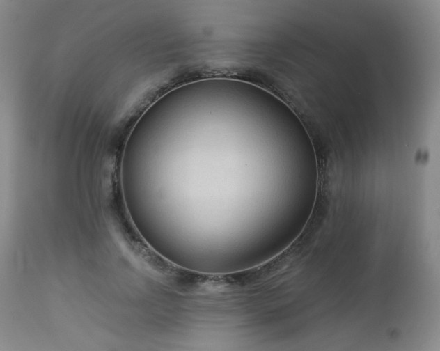 X0000112960742200908271116