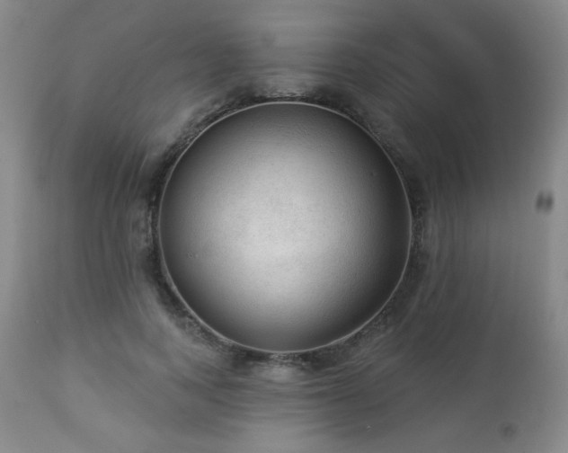 X0000112960743200908271116