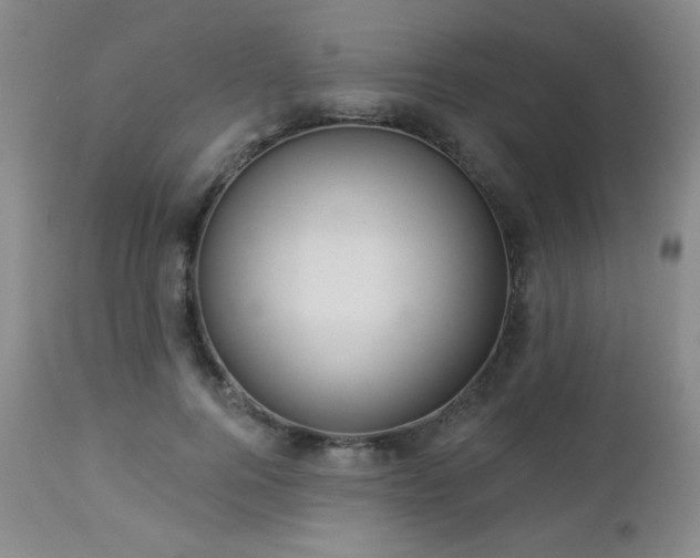 X0000112960744200908271116