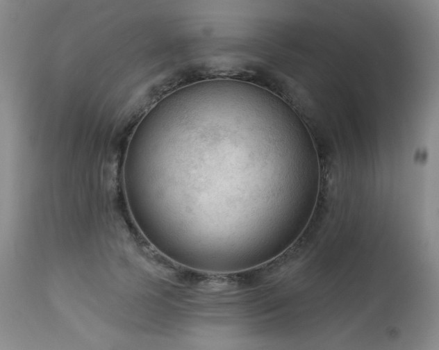 X0000112960745200908271116