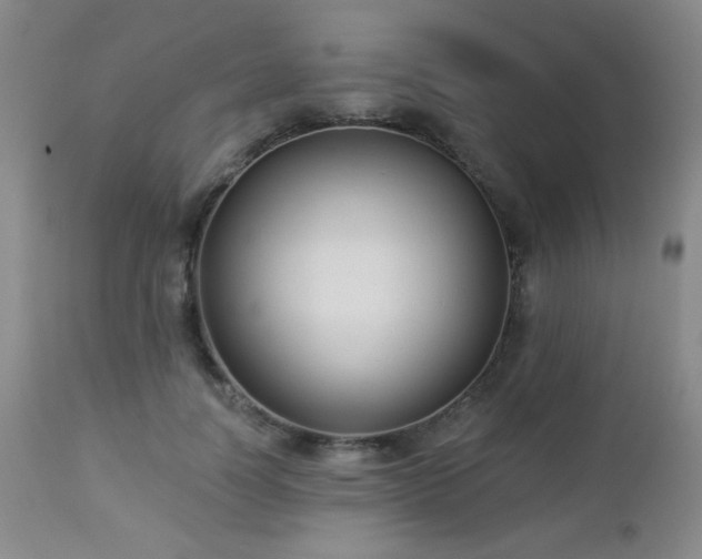 X0000112960746200908271116