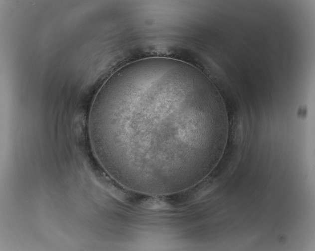 X0000112960747200908271116