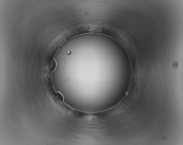 X0000112960748200908271116