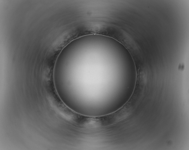 X0000112960750200908271116