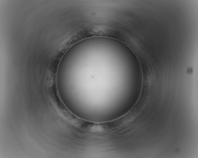 X0000112960751200908271116