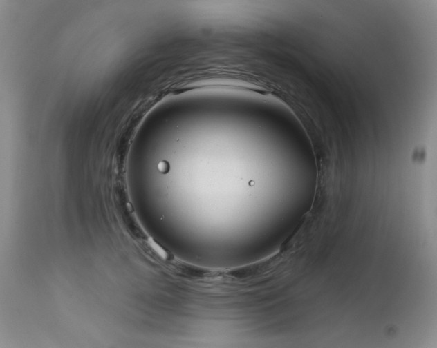 X0000112960752200908271116